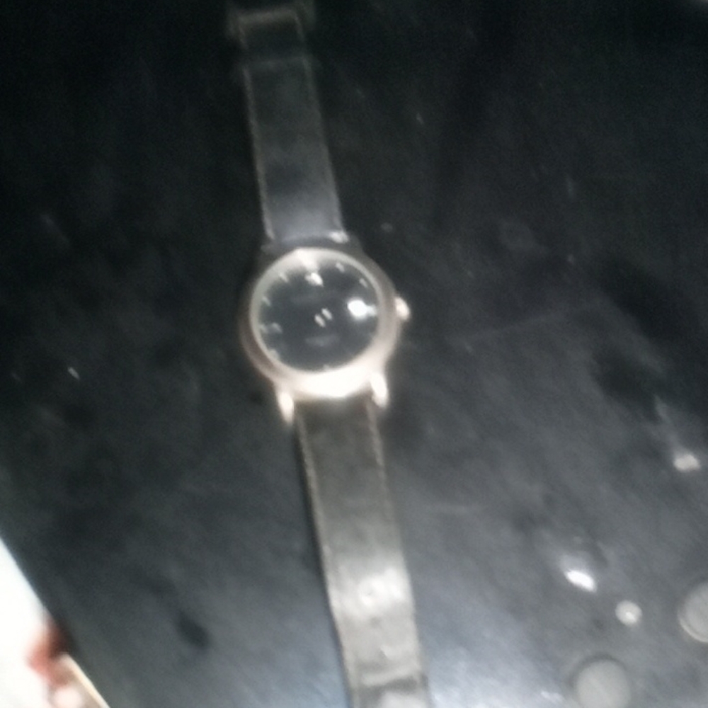 Panama Jack Black Leather Watch